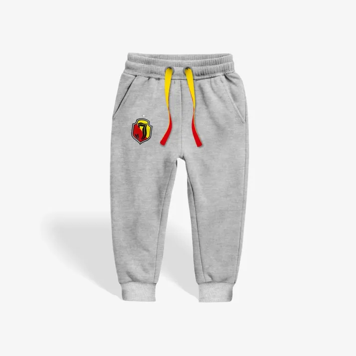 Spodnie dziecięce szare herb